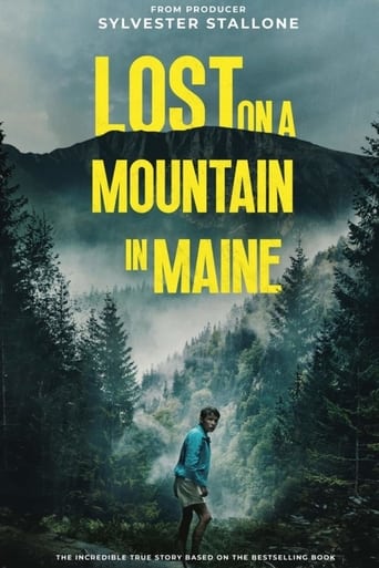 Lost on a Mountain in Maine Torrent (2025) Dual Áudio CAMRip 720p