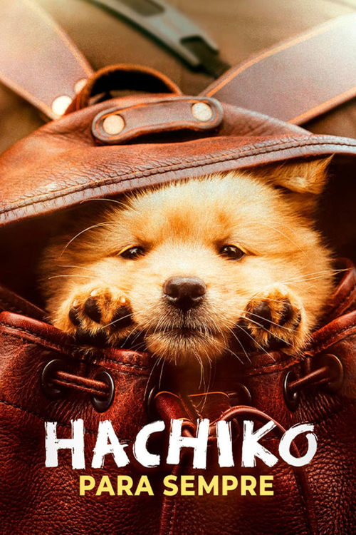 Hachiko: Para Sempre Torrent (2023) Dual Áudio | BluRay